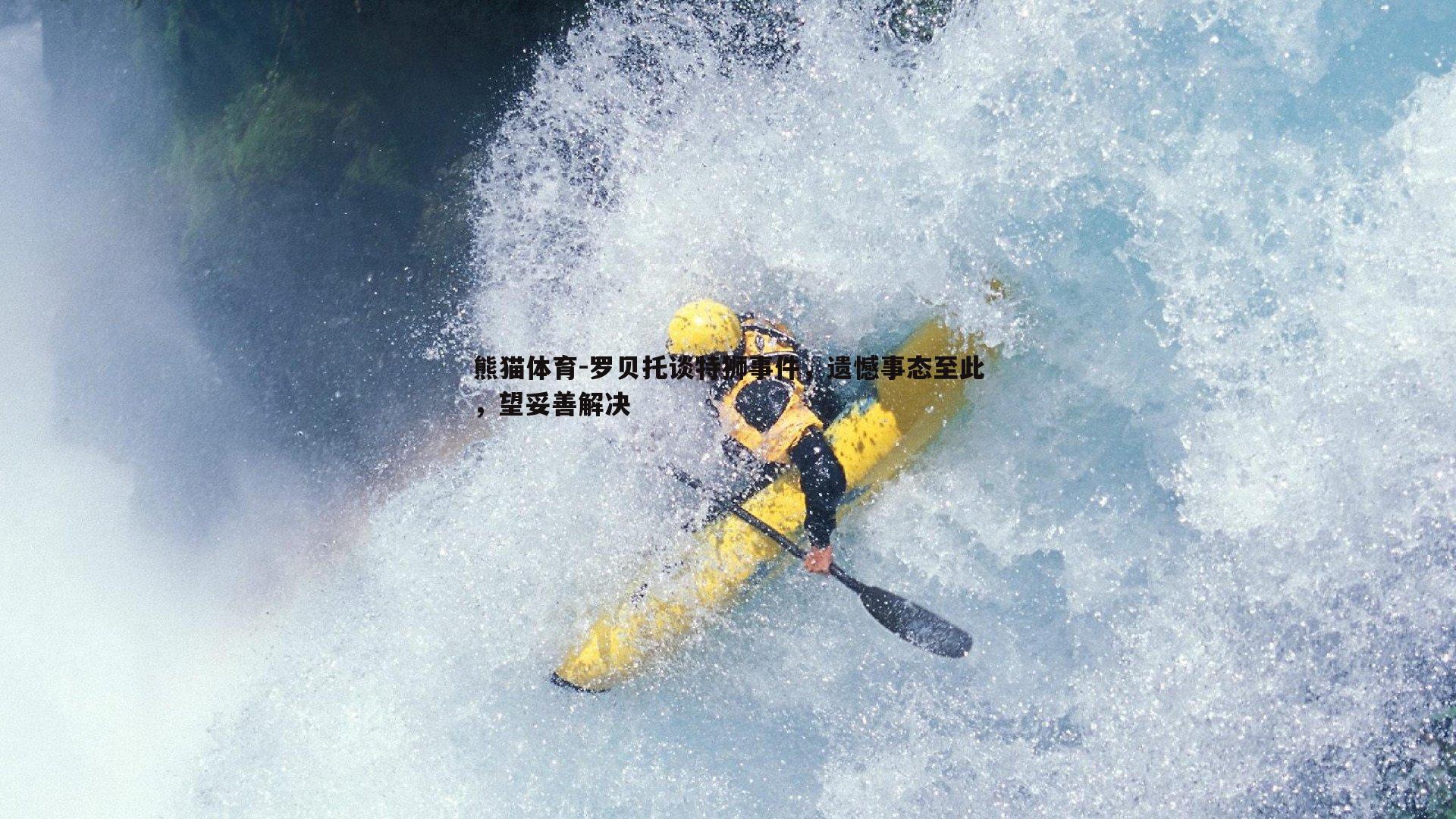 罗贝托谈特狮事件，遗憾事态至此，望妥善解决